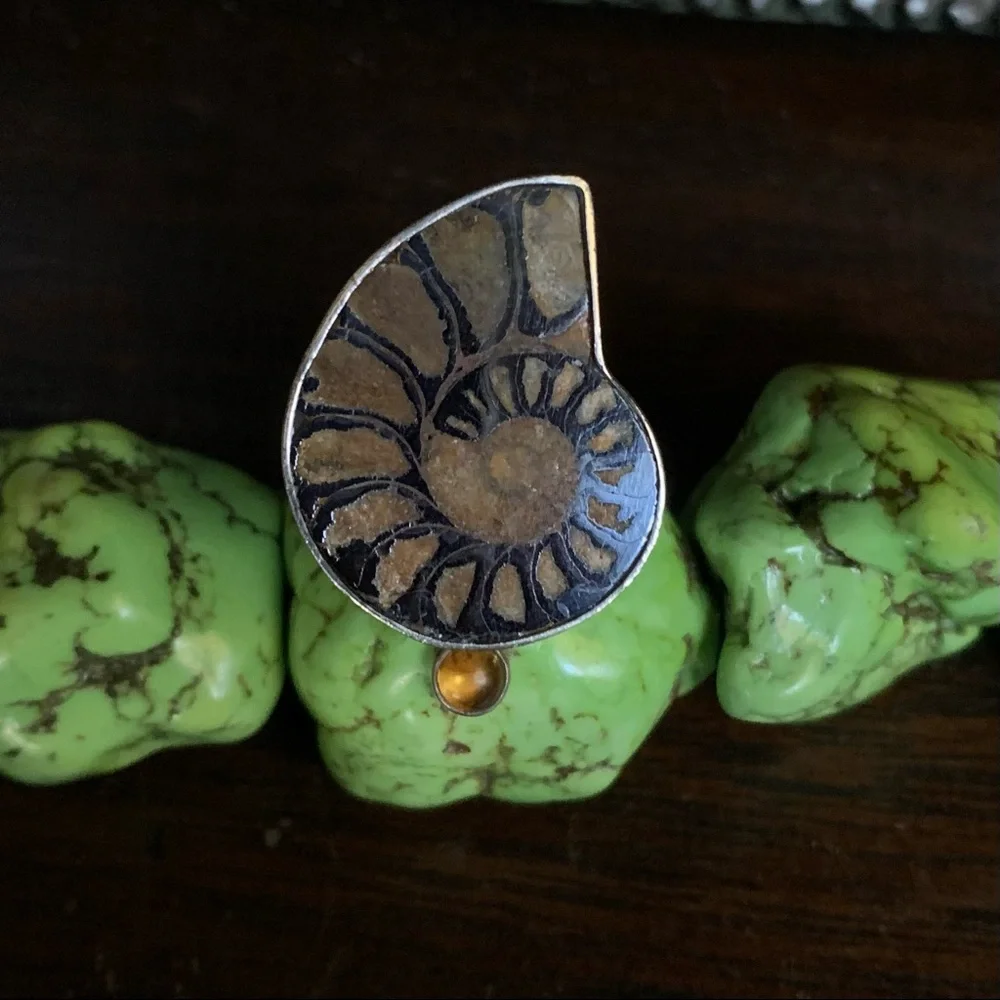 Vintage Ammonite Amber Echo of the Dreamer Sterling Silver Ring